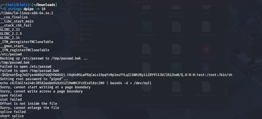 Base64 Encoded Flag