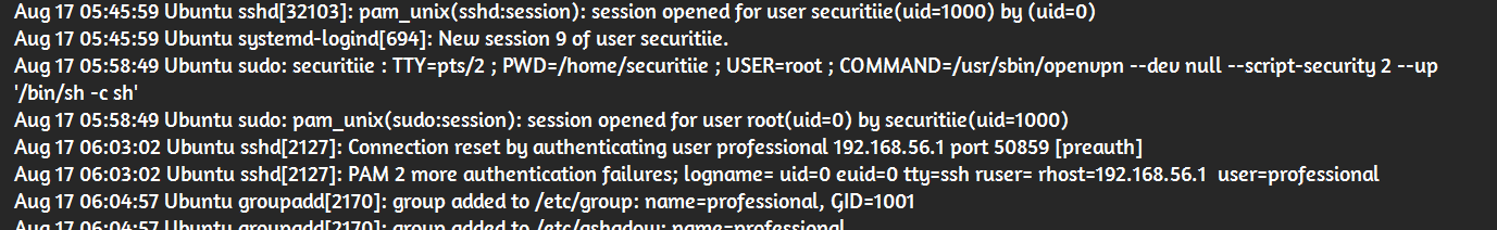 Sudo