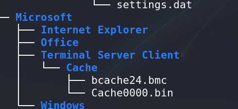 Cache File Found