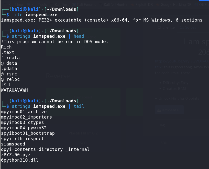 Initial Enumeration