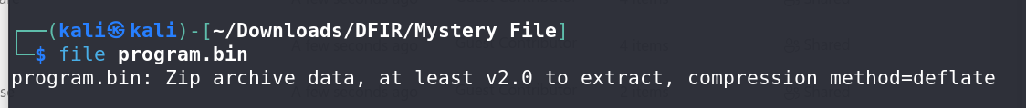 Zip File